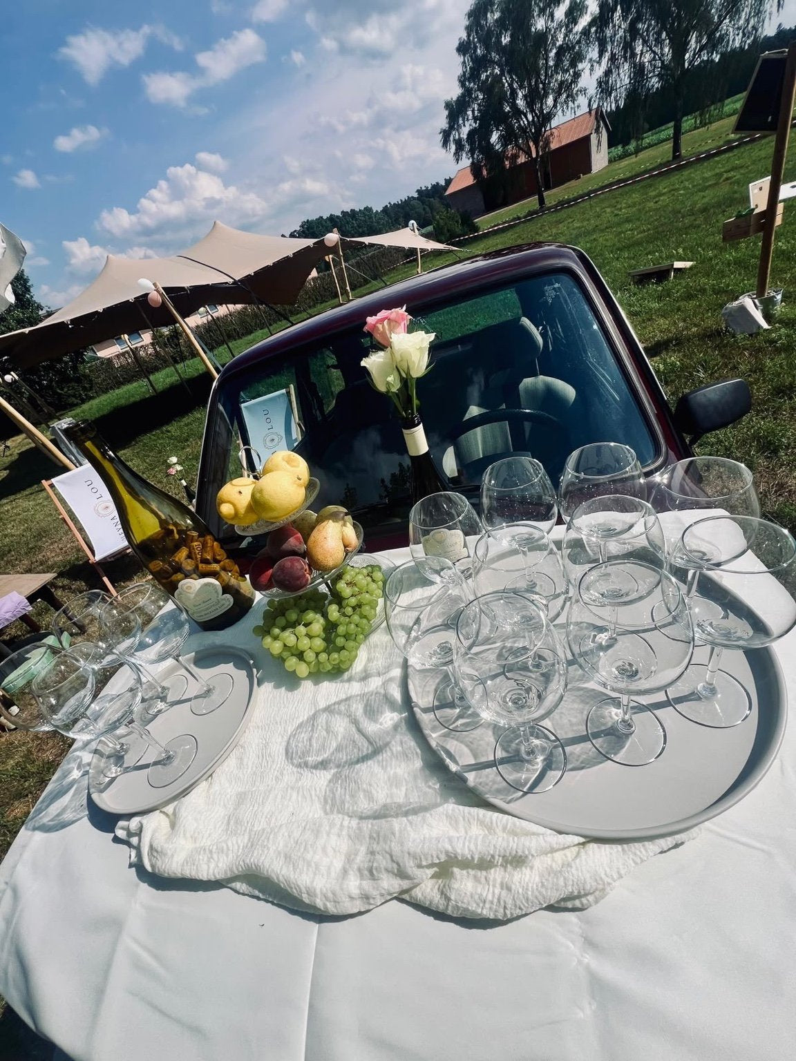 Weingläser, Trauben und Früchte für eine Soleyna Lou Verkostung